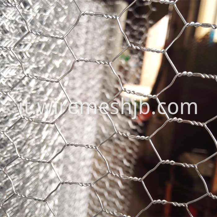 Hexagonal Wire Fencing